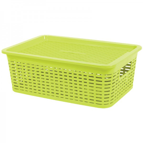 3119 Multiple Basket