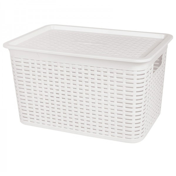 3120 Multiple Basket