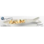 SY5302 Symphny Reef Pike Platter41x1